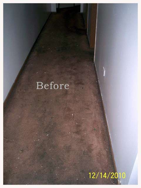 American Maintenance Carpet Cleaning